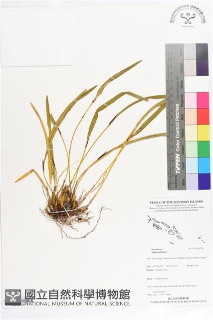 登錄號:BS07326藏品圖，第1張