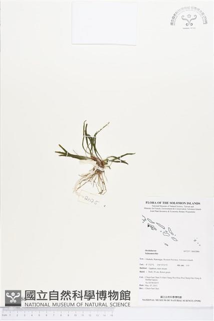 登錄號:BS02886藏品圖，第1張