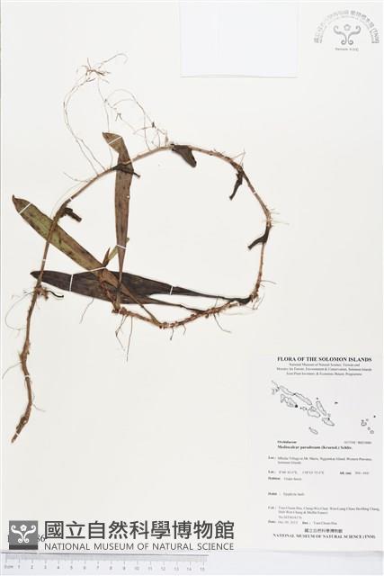 登錄號:BS03886藏品圖，第1張