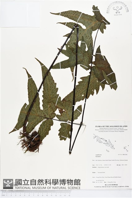 登錄號:BP02086藏品圖，第1張