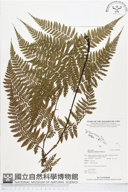 登錄號:BP00086藏品圖，第1張