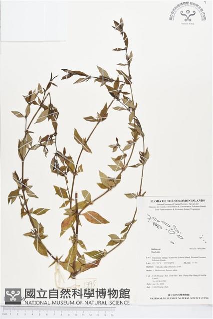 登錄號:BS02686藏品圖，第1張