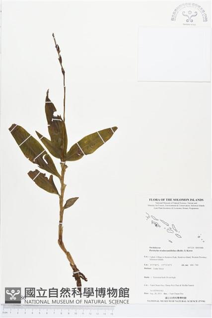 登錄號:BS03686藏品圖，第1張