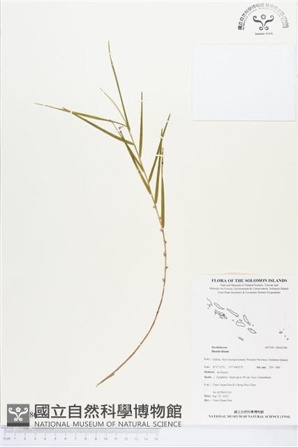 登錄號:BS02186藏品圖，第1張