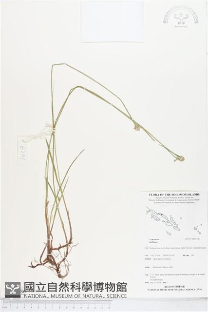 登錄號:BS05186藏品圖，第1張