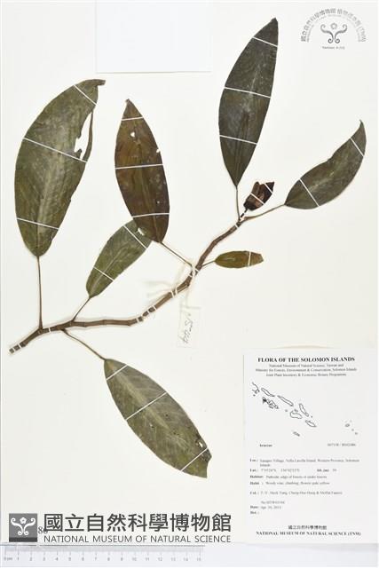 登錄號:BS02486藏品圖，第1張