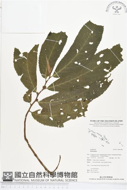 登錄號:BS01486藏品圖，第1張