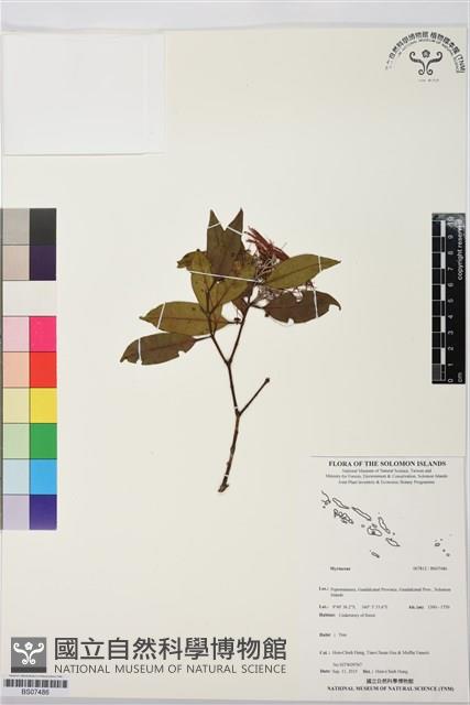 登錄號:BS07486藏品圖，第1張