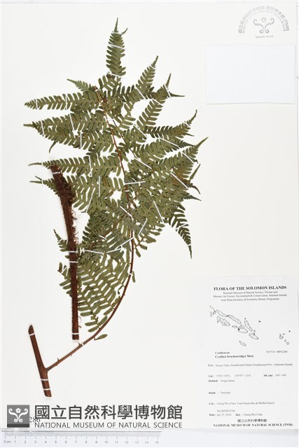 登錄號:BP02286藏品圖，第1張