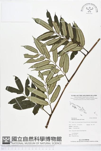 登錄號:BP00286藏品圖，第1張