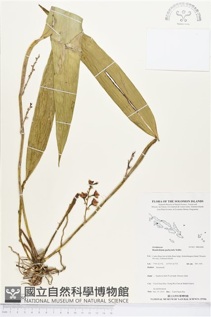登錄號:BS04286藏品圖，第1張