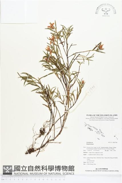 登錄號:BS02786藏品圖，第1張