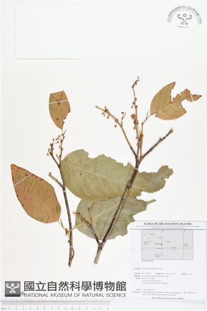 登錄號:BS01786藏品圖，第1張