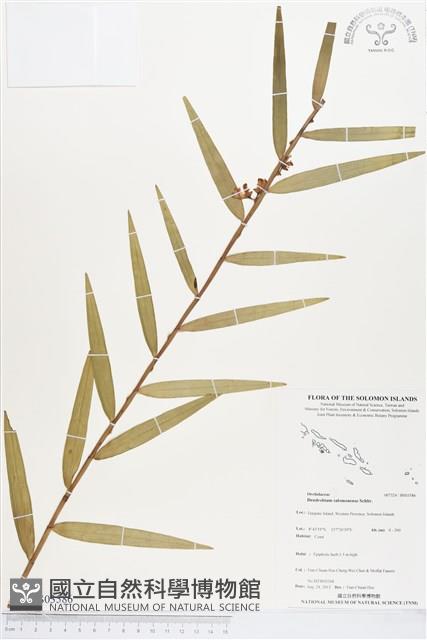 登錄號:BS03586藏品圖，第1張