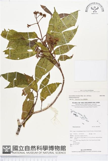 登錄號:BS01986藏品圖，第1張