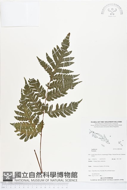 登錄號:BP02386藏品圖，第1張