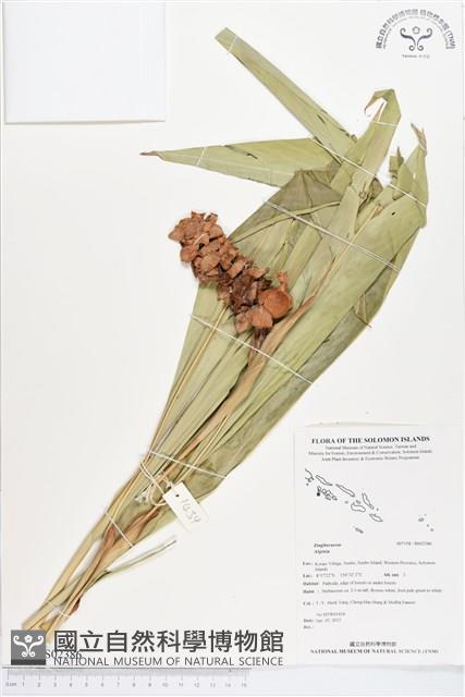 登錄號:BS02386藏品圖，第1張