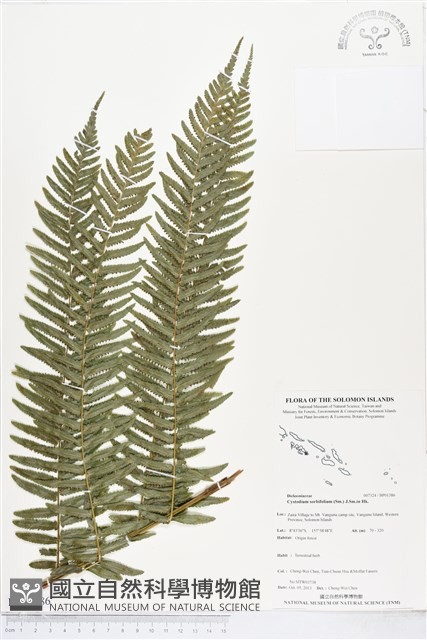 登錄號:BP01386藏品圖，第1張