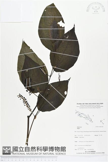 登錄號:BS04386藏品圖，第1張