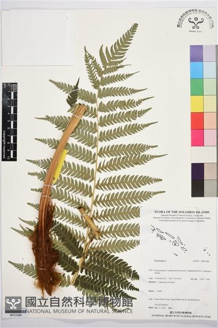 登錄號:BP03386藏品圖，第1張