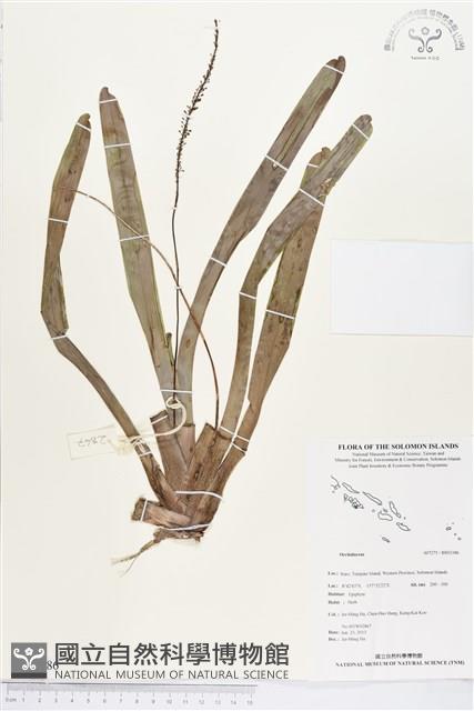 登錄號:BS03386藏品圖，第1張