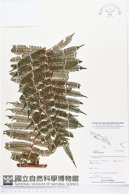 登錄號:BP01896藏品圖，第1張
