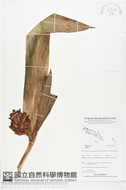 登錄號:BS04896藏品圖，第1張