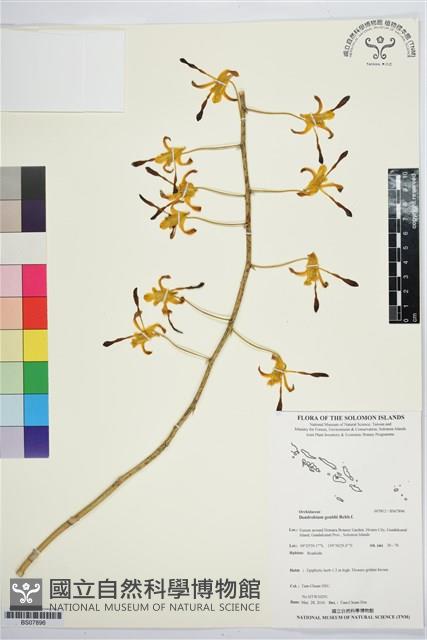 登錄號:BS07896藏品圖，第1張