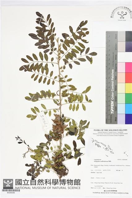 野木藍藏品圖，第1張