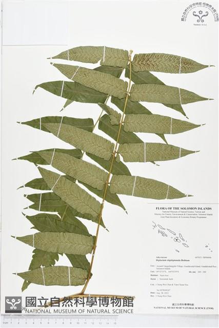 登錄號:BP00096藏品圖，第1張