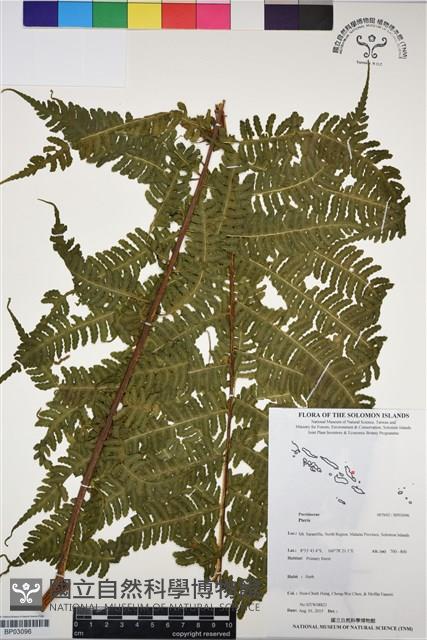 登錄號:BP03096藏品圖，第1張