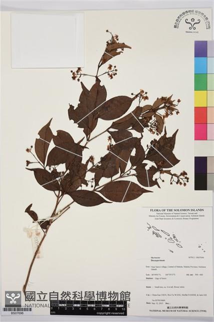 登錄號:BS07696藏品圖，第1張