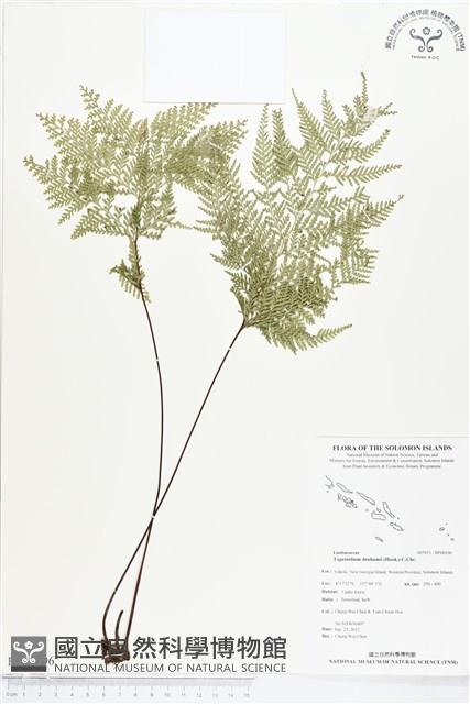 登錄號:BP00196藏品圖，第1張