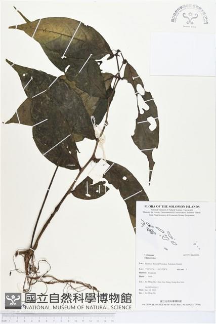 登錄號:BS03196藏品圖，第1張