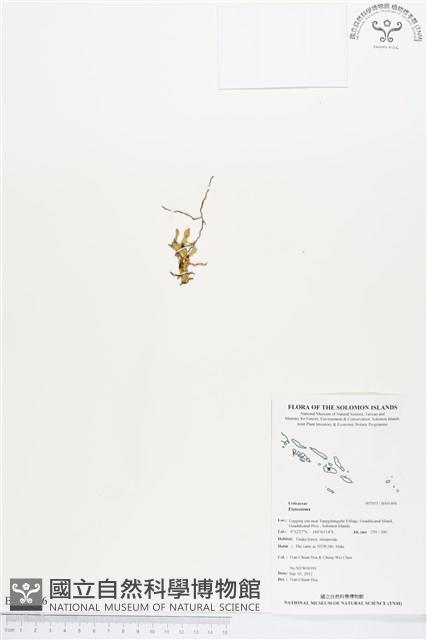 登錄號:BS01496藏品圖，第1張