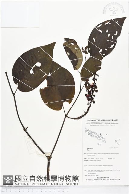 登錄號:BS05496藏品圖，第1張