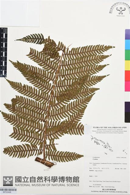 登錄號:BP03496藏品圖，第1張