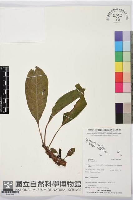 登錄號:BS07496藏品圖，第1張