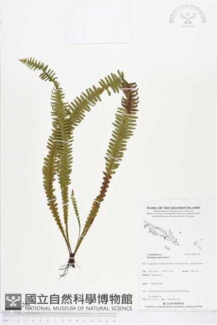 登錄號:BP02296藏品圖，第1張