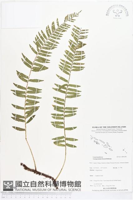 登錄號:BP01296藏品圖，第1張