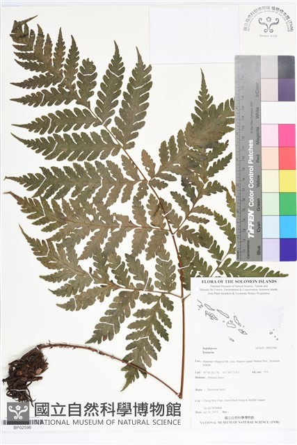 登錄號:BP02596藏品圖，第1張
