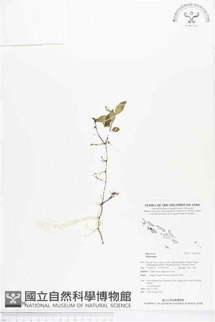 登錄號:BS02596藏品圖，第1張