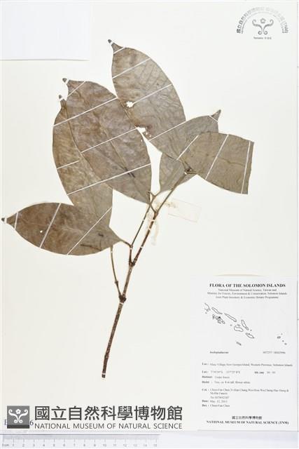 登錄號:BS02996藏品圖，第1張