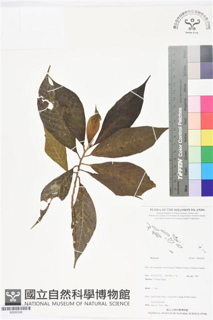 登錄號:BS06396藏品圖，第1張