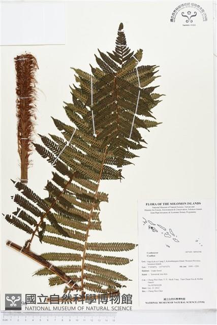 登錄號:BP00396藏品圖，第1張