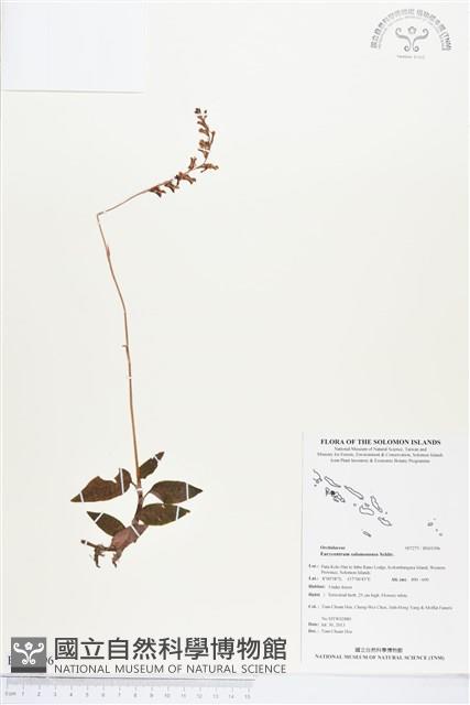 登錄號:BS03396藏品圖，第1張