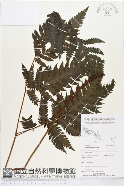 登錄號:BP01866藏品圖，第1張