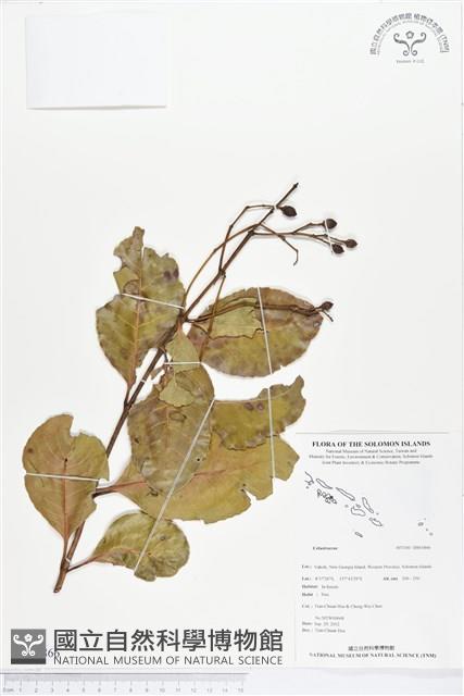 登錄號:BS01866藏品圖，第1張