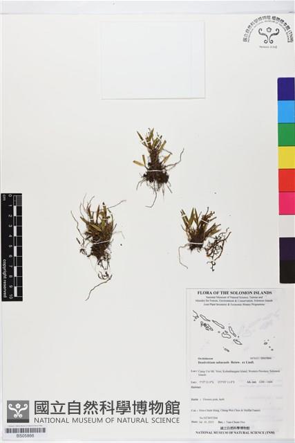 登錄號:BS05866藏品圖，第1張
