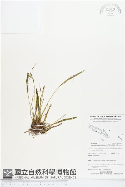 登錄號:BS03866藏品圖，第1張